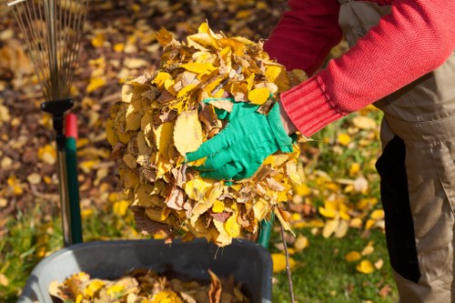 Professional garden clearance team working in a West London garden